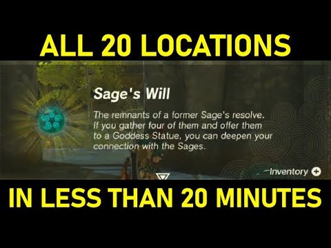 INHTWYT | TOTK All Sage's Will Locations