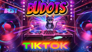 Download lagu BEST BUDOTS TIKTOK 2025 DISCO PARTY mp3