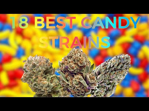 Candy Strain Names