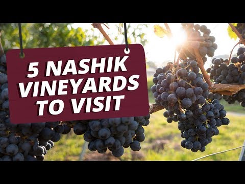 download lagu mp3 mp4 Wine Tasting In Nashik, download lagu Wine Tasting In Nashik gratis, unduh video klip Wine Tasting In Nashik
