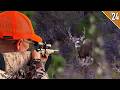 Mule Deer Rifle Hunt BIG BUCK On The Last Day