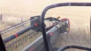 preview picture of video 'Better you run Case IH Australian Wheat Harvest'