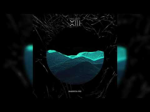 AVAR GARDEN - FUTURE (DA FRESH RMX) (PROJECT 13)