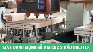 Máy đục mộng âm CNC 3 đầu Woodmaster | WM-1500-3CNC