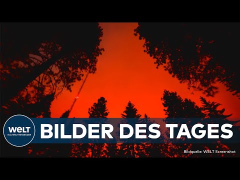 BILDER DES TAGES: Von Paris bis Kalifornien - Ungewöhnliche Momente aus aller Welt!