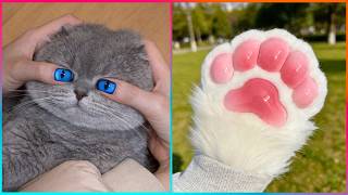 Creative Pet-Inspired Ideas That Are At Another Level ▶ 7