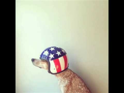 DJ EMS-Dream of Night