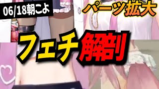 【フェチ】とことん追求!博衣こよりとフェチスラングを学ぶ【博衣こより/ホロライブ切り抜き】