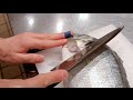 GRAPHIC How To Fillet A Fish Sea Bream Japanese Technique クロダイのさばき方