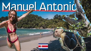 PARQUE NACIONAL MANUEL ANTONIO: o melhor lugar pra ver BICHO-PREGUIÇA e outros animais na Costa Rica