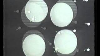 &Mu;&epsilon;&tau;&alpha;&phi;&omicron;&rho;ά &Theta;&epsilon;&rho;&mu;ό&tau;&eta;&tau;&alpha;&sigmaf;