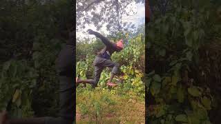 Download lagu Dj afro the skeleton π killer part 1(please subscribe to my channel)@dogo wize mp3 Download lagu Dj afro the skeleton π killer part 1(please subscribe to my channel)@dogo wize mp3