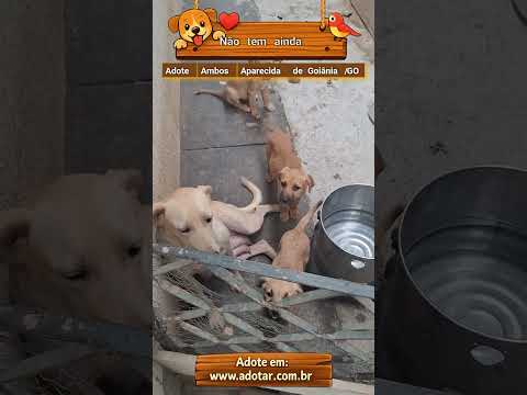 Vídeo de Não tem ainda 
