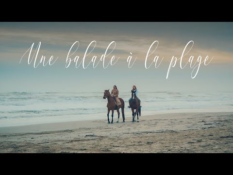 Beach Horseriding during Sunset - South of France