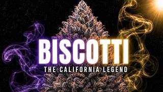 Biscotti: The California Strain Everyone Wanted To Try