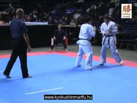 Faragó Henrietta -    Fuenta Ainara (spanyol)