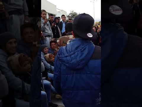 Ken zingle vs Nacho Batalla de gallos