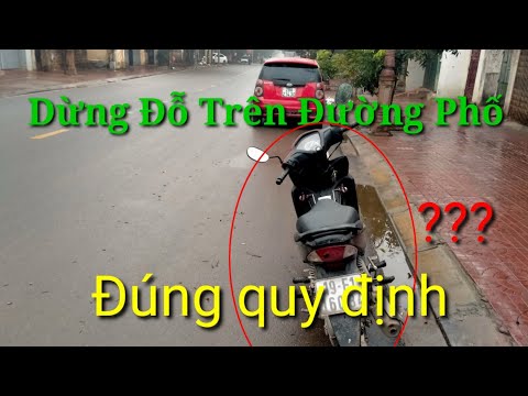 Dừng đỗ xe trên phố đúng quy định /yêu đất Việt