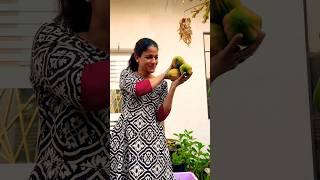 അങ്ങനെ സന്തോഷവും സങ്കടവും ഒക്കെ balance ചെയ്തു പോകുന്നുണ്ട് #naturelovers #greenlove #garden #uae