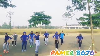 Download lagu PAMER BOJO Dj Remix ~ Senam Kreasi Choreo Hana Purnama mp3