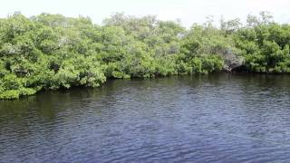 preview picture of video 'Summer Fishing Fun 2014 Boca Grande FL'