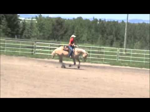 Hit the Jac Pot 2013