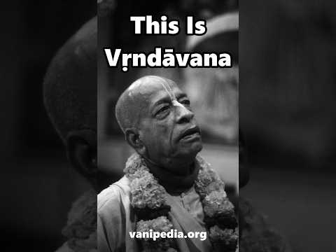 This Is Vrndavana - Prabhupada 0086