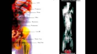 Jonathann Cast - Million Years Ago (2005).avi