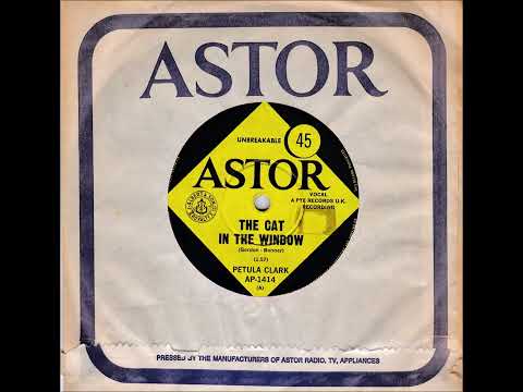 45 of the Week - The Cat In The Window