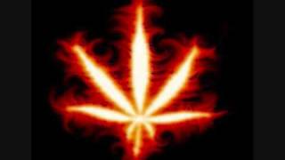 piloto cannabis...larry hernandez.... (version el sonidito) ...by:güero