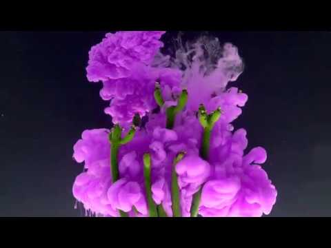 KYMC Branding  ( English Version)