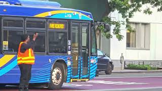LFS #9136 on the Q8 Passing by 165th Street Bus Terminal (Pre-Redesign)