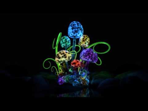 Dj Zaghini - Dj Set - Psychedelic Ways [Special RadiOzora 2017]  ᴴᴰ