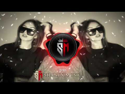 Koi jai to lai full song slowed+reverb with sanydeol song 