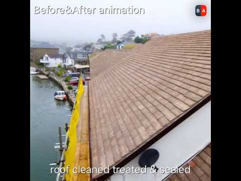 Inspectormoss exterior cleaning & sealing  experts video.