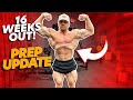 15 Weeks Out Prep Update - HRT, Macros and Training!