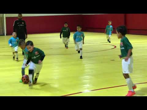 Hudson's 2018 Ole Futsal season