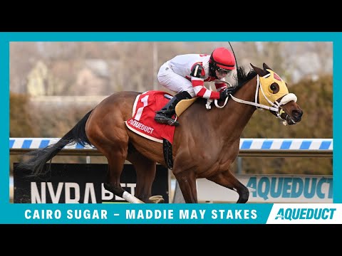 Cairo Sugar - 2023 - The Maddie May