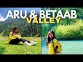 ARU & BETAAB VALLEY Day Trip in Pahalgam | Places to Visit in Pahalgam | How to reach Aru & Betaab?