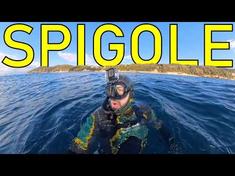 Team Arrow Spearfishing and Daniele Sircana AsticeSub