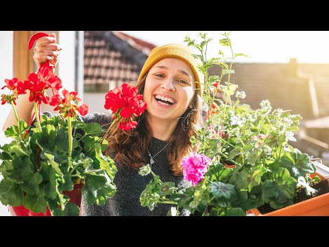 ESTO HACEMOS CUANDO COMIENZA LA PRIMAVERA EN RUMANÍA