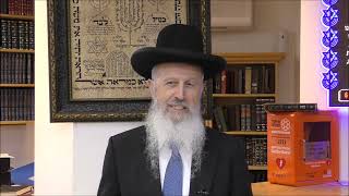 הרב הגאון אברהם יוסף שליט"א כמה ילדים היו לנח בזמן בניית התיבה