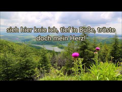 Gehe nicht vorbei oh Heiland