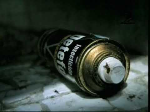 Partnership Against Drugs Association Anti-Drugs Message: Fly (2002)