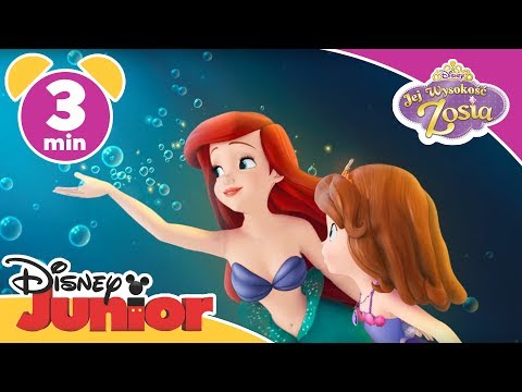 Jej Wysokość Zosia | Ariel pomaga Zosi