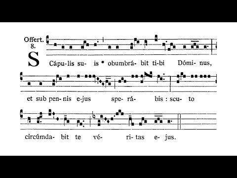 Dominica I in Quadragesima (First Sunday of Lent) - Offertorium (Scapulis suis)