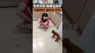 짐승은 극혐하던 엄마의 반전 ㅋㅋㅋ