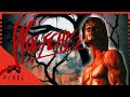 History Of Wolfchild 1992 Amiga SNES