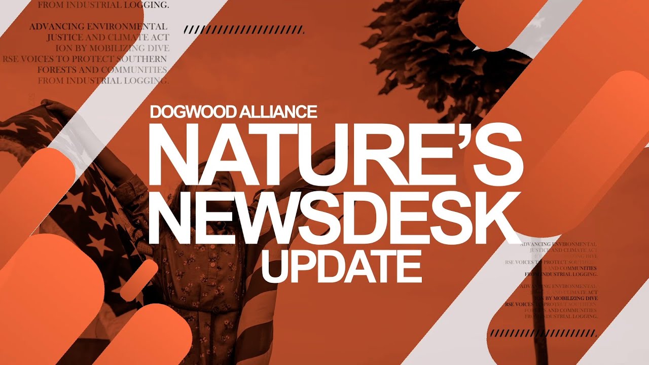 Is Planting Trees a Climate Solution? | Episode 1 | Nature's NewsDesk