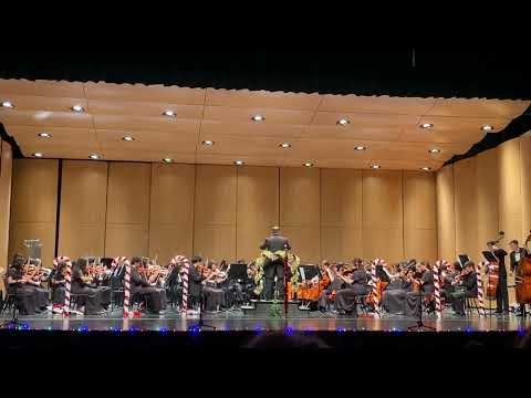 NHS Philharmonic Orchestra Winter Concert 2022 2 of 3